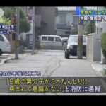 レス1番の画像2