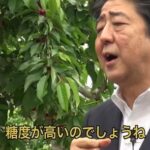 レス95番の画像1